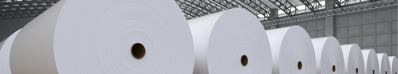Industrie papetière